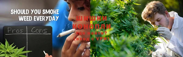 трава Гусь-Хрустальный