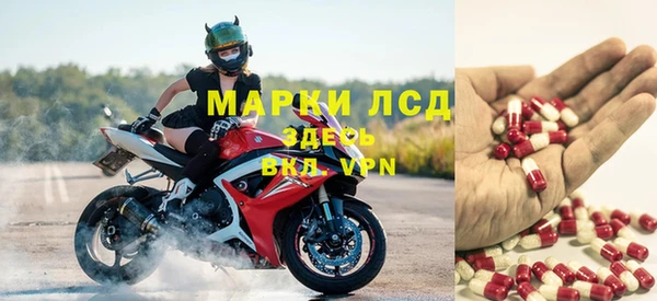 трава Гусь-Хрустальный